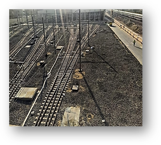 project Photo